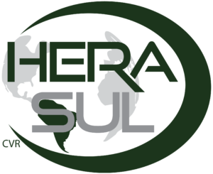 cropped-logo-novo-hera-sul.png